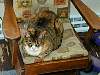DSCN8193.jpg