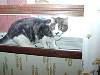 DSCN8204.jpg