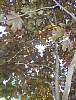 DSCN8225.jpg