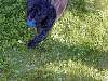 DSCN8280.jpg