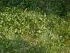 DSCN8281.jpg