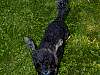 DSCN8282.jpg