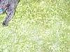 DSCN8286.jpg