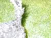 DSCN8289.jpg