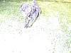 DSCN8291.jpg