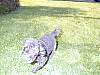 DSCN8293.jpg