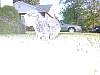 DSCN8294.jpg