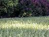 DSCN8305.jpg