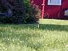 DSCN8306.jpg
