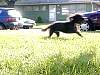 DSCN8313.jpg