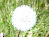DSCN8325.jpg