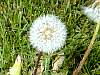DSCN8326.jpg