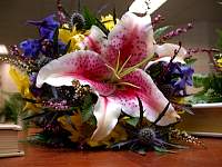 DSCN9158.JPG