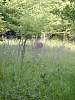 DSCN0277.JPG