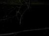 DSCN0278.JPG