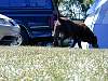 DSCN4035.jpg