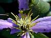 DSCN4049.jpg