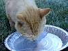 DSCN4117.jpg