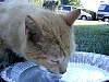 DSCN4118.jpg