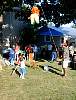 DSCN4234.jpg