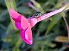 DSCN4340.jpg