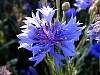 DSCN4343.jpg