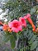 DSCN4348.jpg