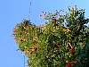 DSCN4349.jpg
