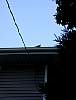 DSCN4363.jpg