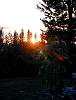 DSCN4382.jpg