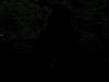 DSCN4383.jpg
