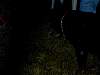DSCN4413.jpg