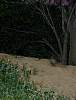 DSCN4418.jpg