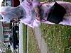 DSCN3099.JPG