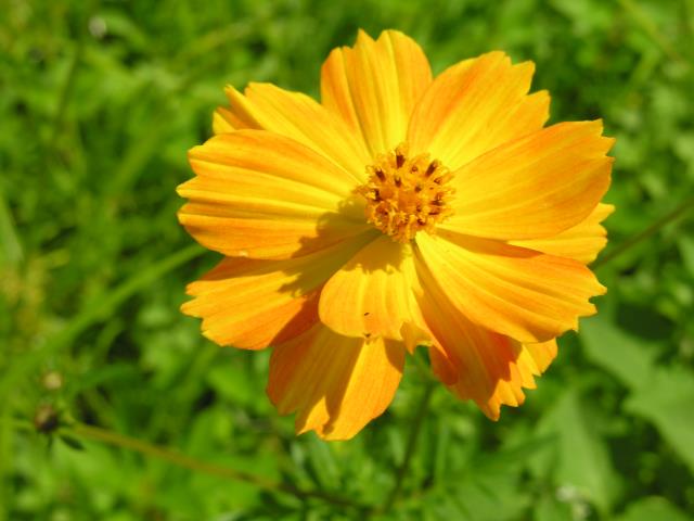 DSCN6035.JPG