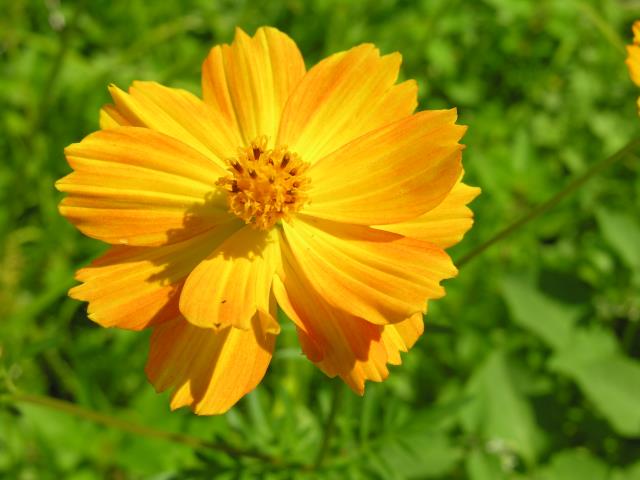 DSCN6037.JPG