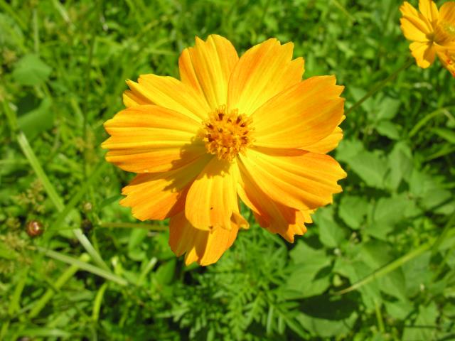DSCN6040.JPG