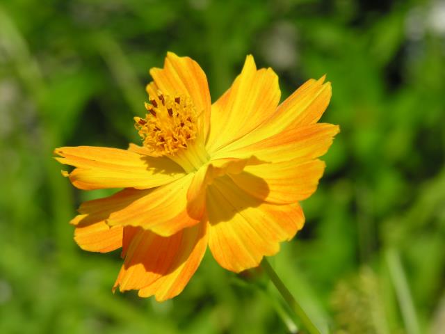 DSCN6058.JPG