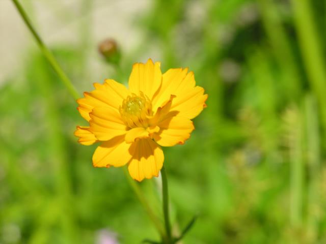 DSCN6062.JPG