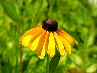 DSCN6027.jpg