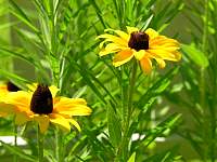 DSCN6033.jpg