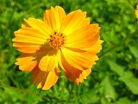 DSCN6037.jpg