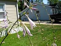 DSCN6042.jpg