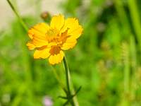 DSCN6063.jpg